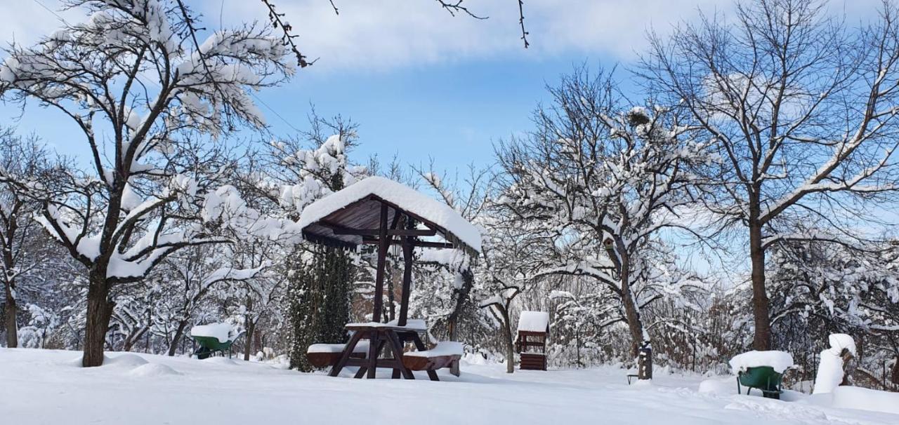 Casa Bunicului Villa Vistisoara Bagian luar foto