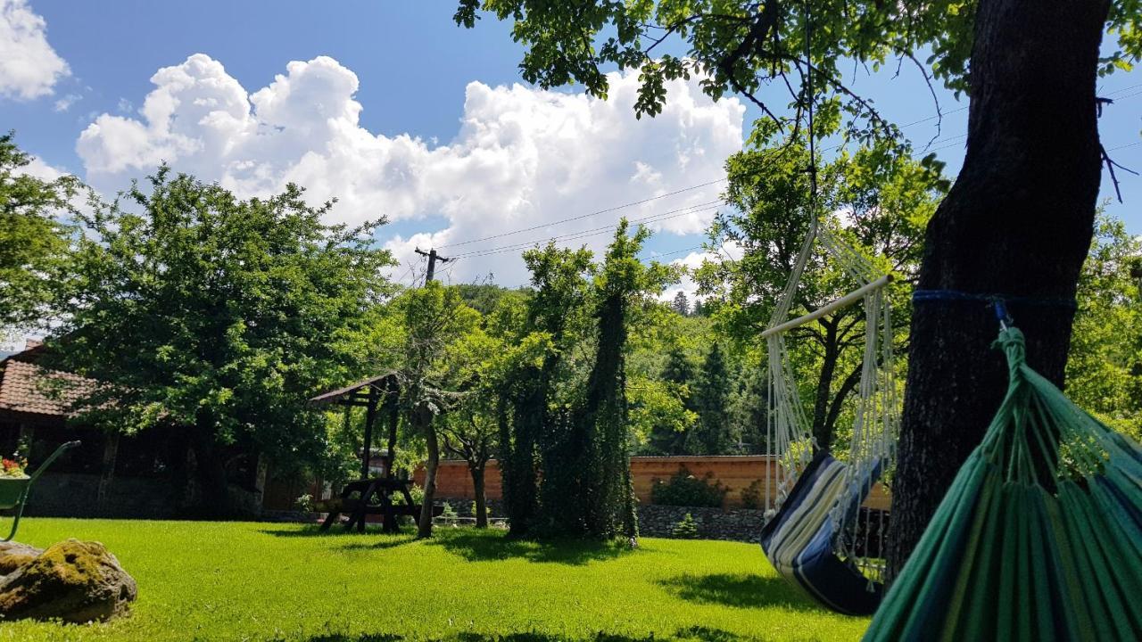 Casa Bunicului Villa Vistisoara Bagian luar foto