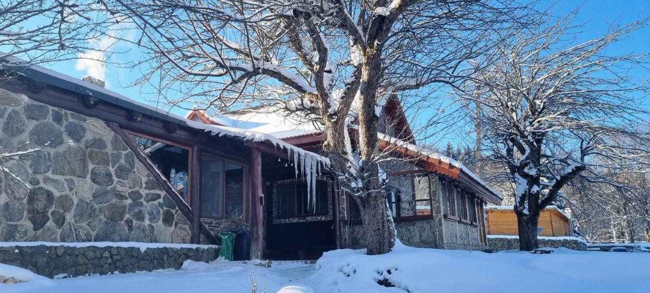 Casa Bunicului Villa Vistisoara Bagian luar foto