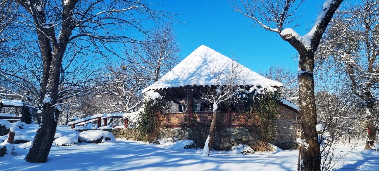 Casa Bunicului Villa Vistisoara Bagian luar foto