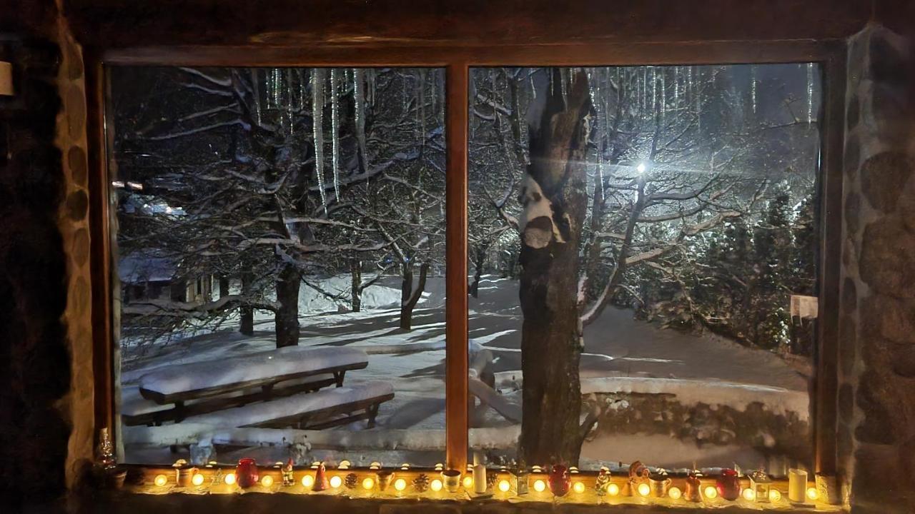 Casa Bunicului Villa Vistisoara Bagian luar foto