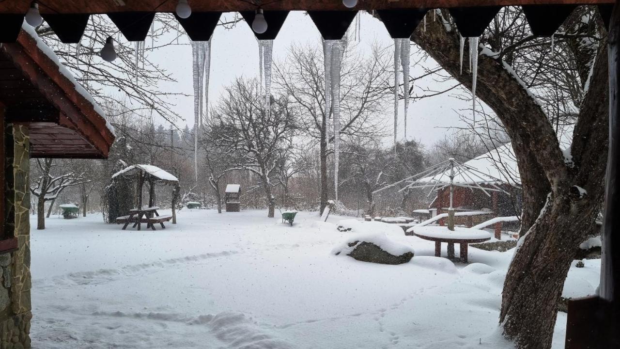 Casa Bunicului Villa Vistisoara Bagian luar foto