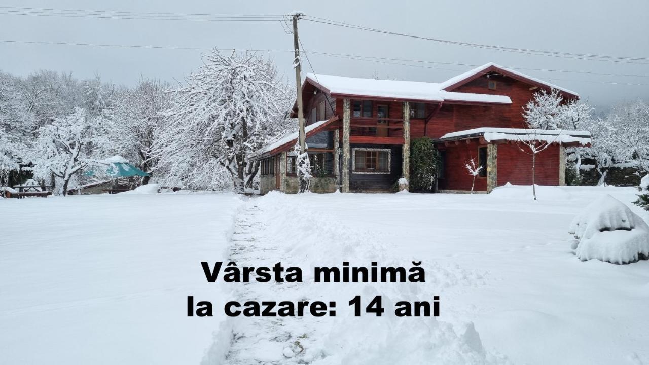 Casa Bunicului Villa Vistisoara Bagian luar foto