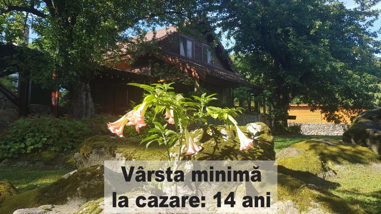 Casa Bunicului Villa Vistisoara Bagian luar foto