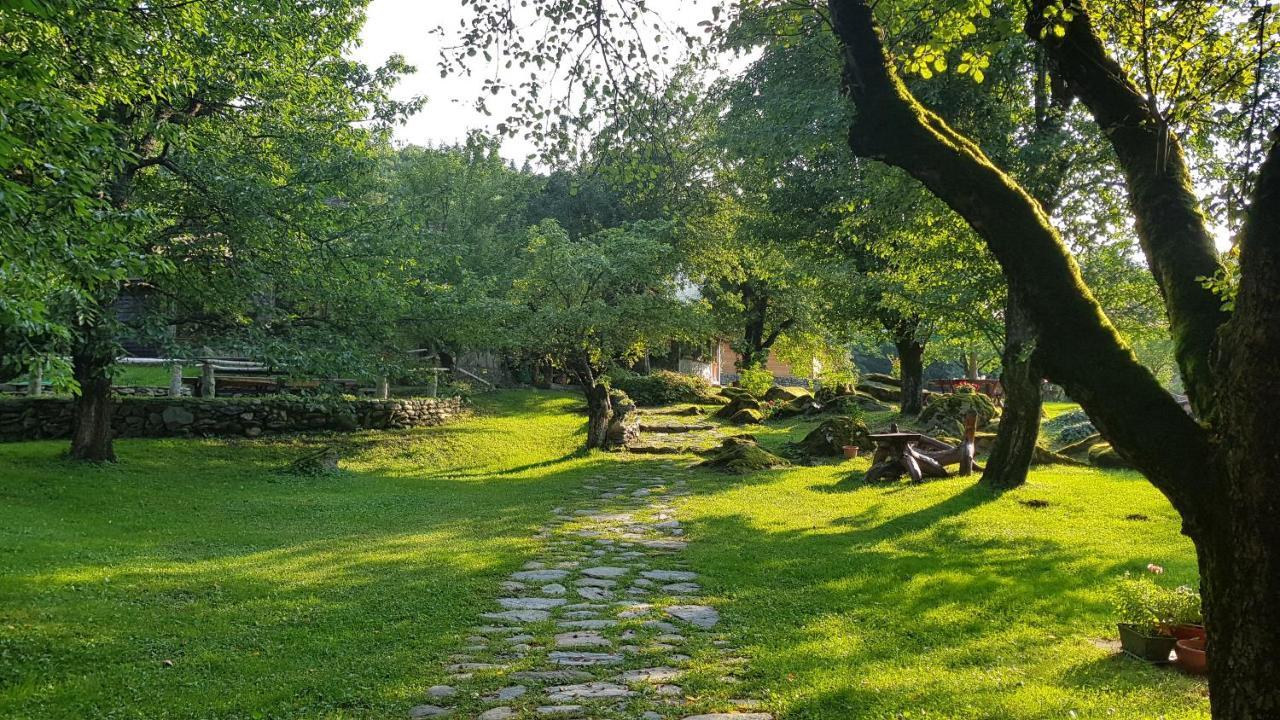 Casa Bunicului Villa Vistisoara Bagian luar foto