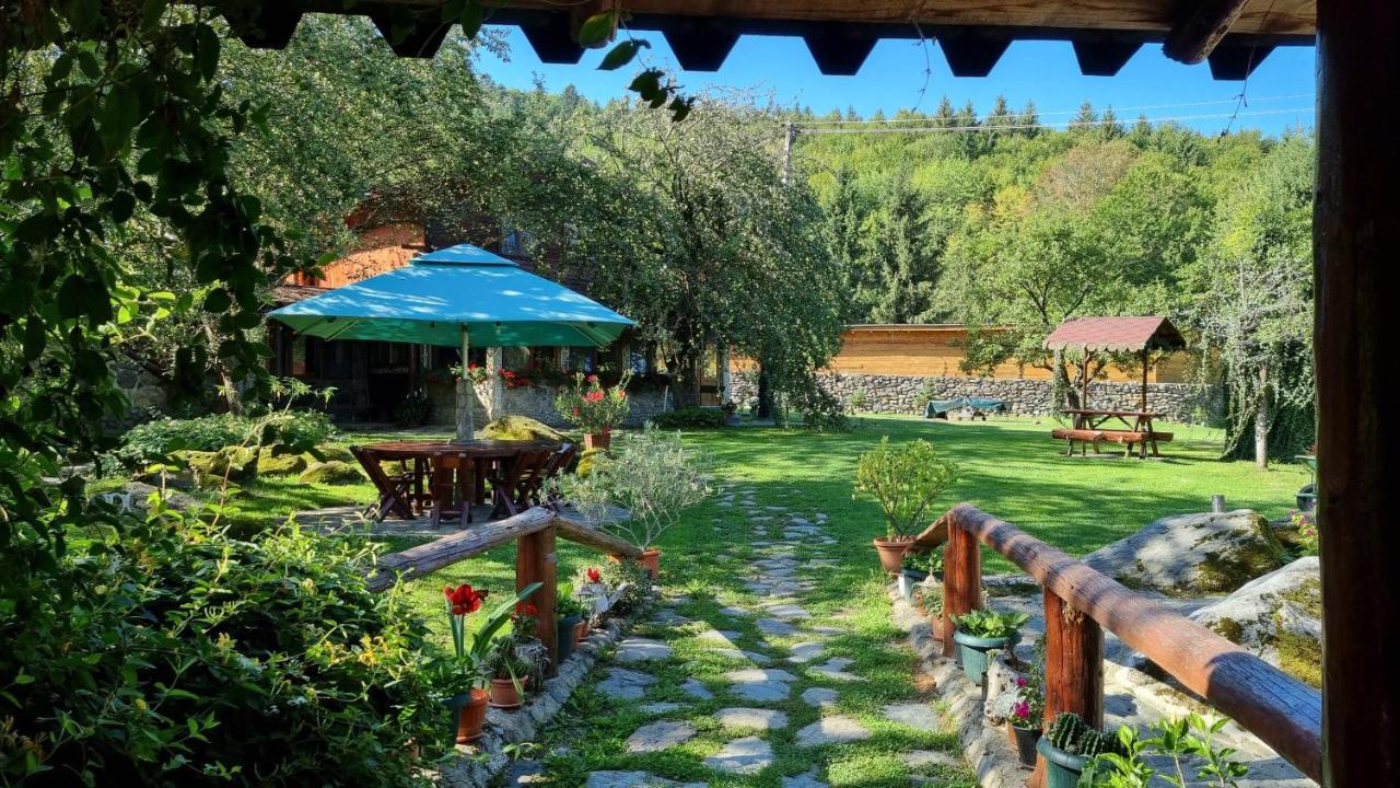 Casa Bunicului Villa Vistisoara Bagian luar foto