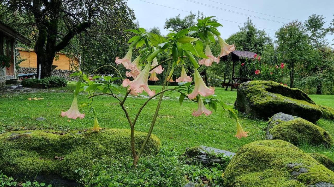 Casa Bunicului Villa Vistisoara Bagian luar foto