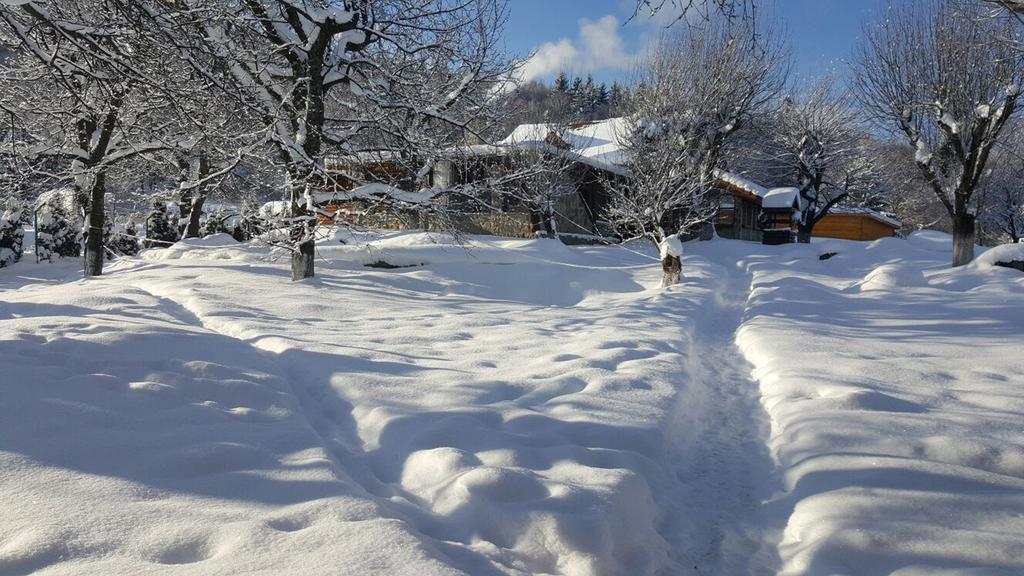 Casa Bunicului Villa Vistisoara Bagian luar foto