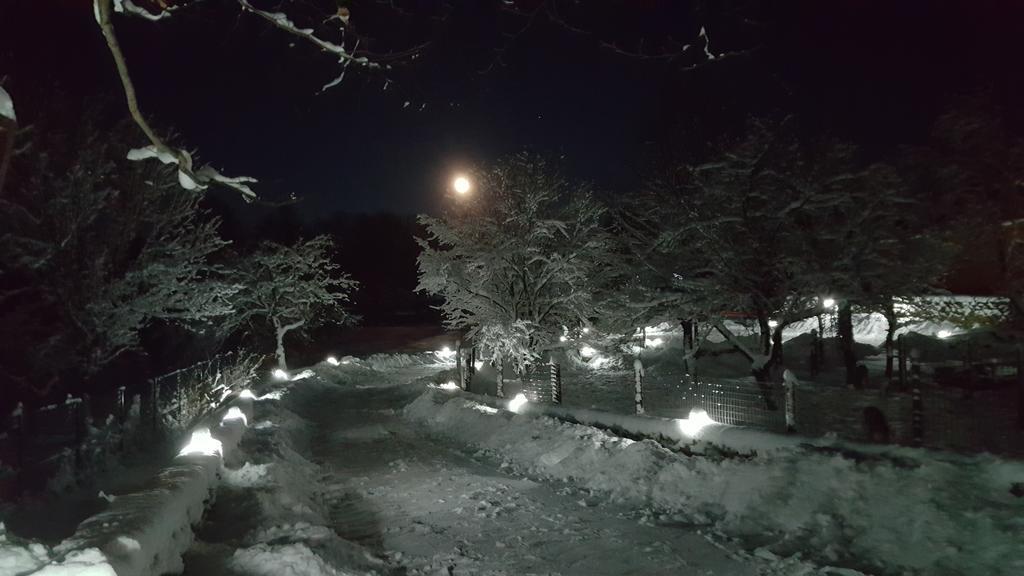 Casa Bunicului Villa Vistisoara Bagian luar foto