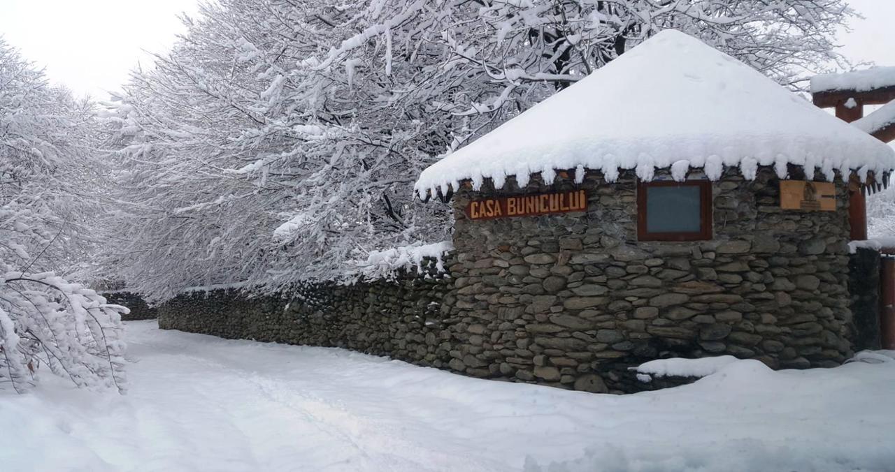Casa Bunicului Villa Vistisoara Bagian luar foto