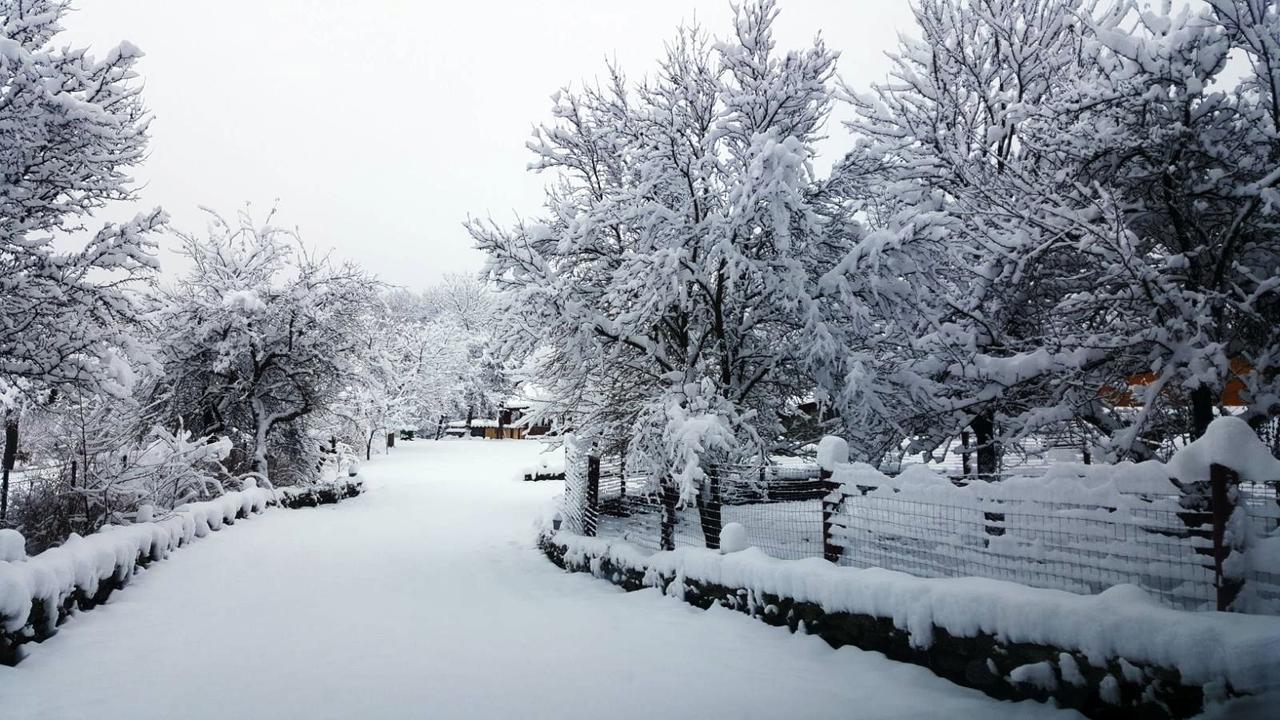 Casa Bunicului Villa Vistisoara Bagian luar foto