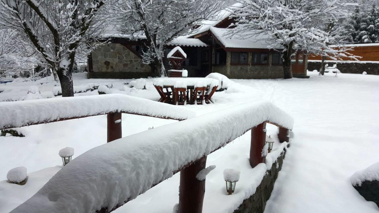 Casa Bunicului Villa Vistisoara Bagian luar foto