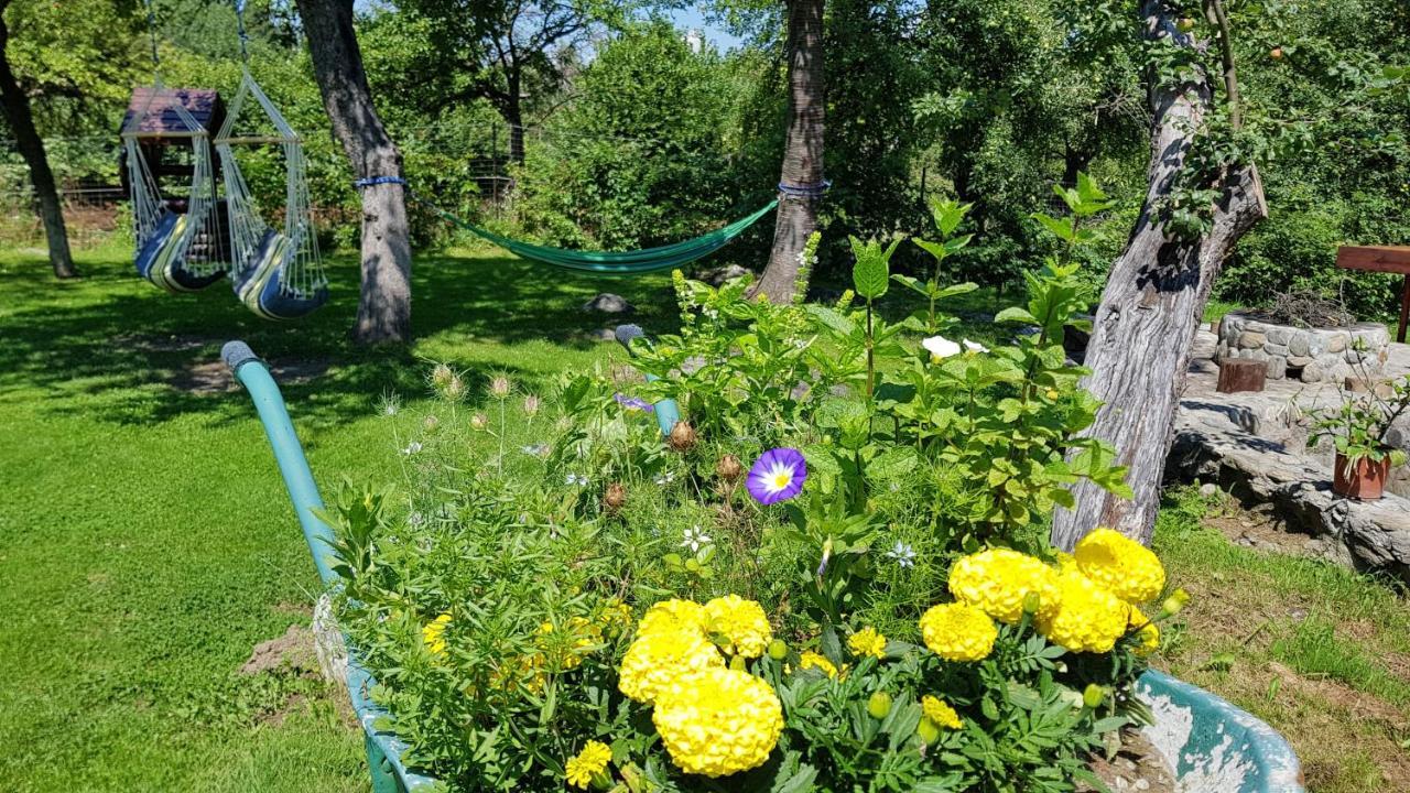 Casa Bunicului Villa Vistisoara Bagian luar foto