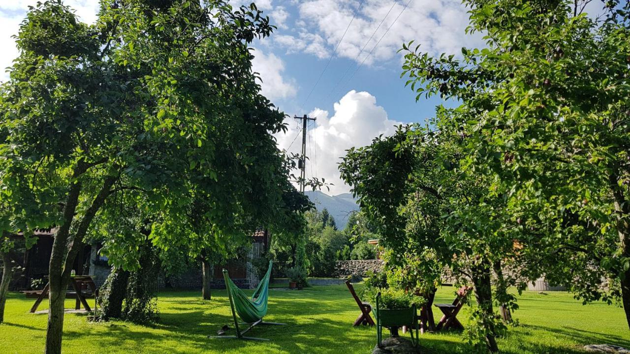 Casa Bunicului Villa Vistisoara Bagian luar foto