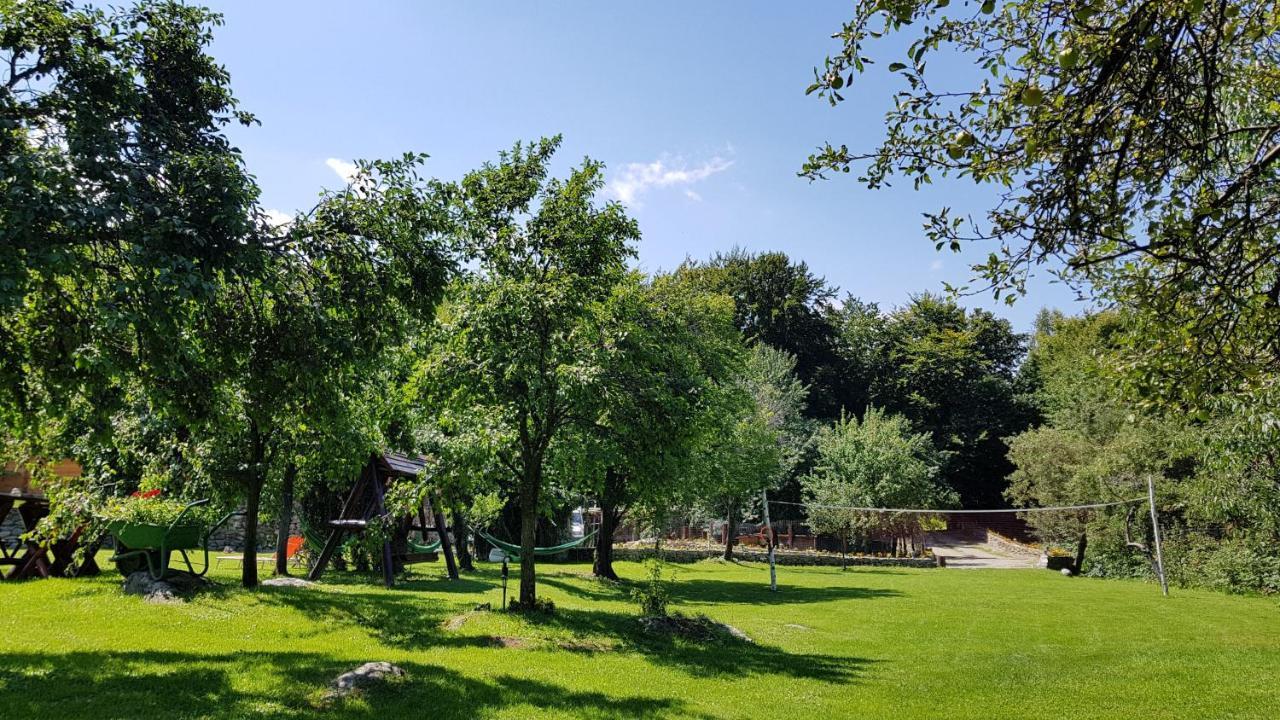 Casa Bunicului Villa Vistisoara Bagian luar foto