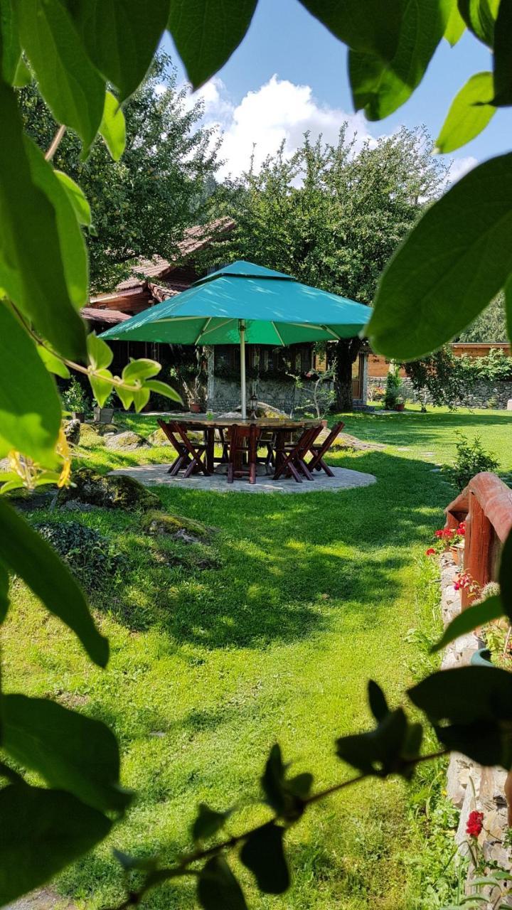 Casa Bunicului Villa Vistisoara Bagian luar foto