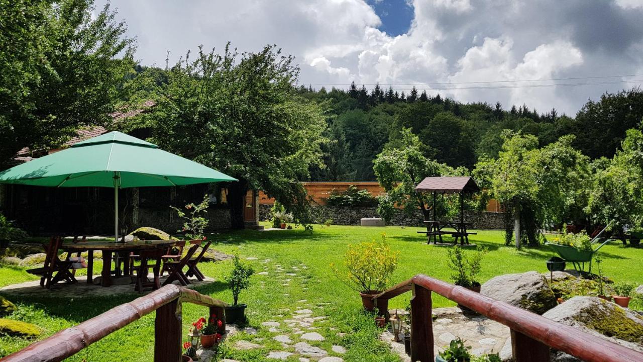 Casa Bunicului Villa Vistisoara Bagian luar foto