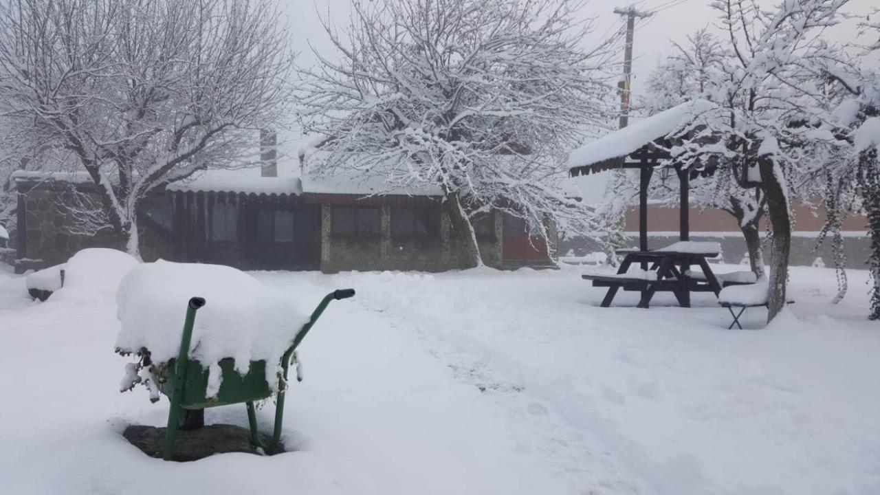 Casa Bunicului Villa Vistisoara Bagian luar foto