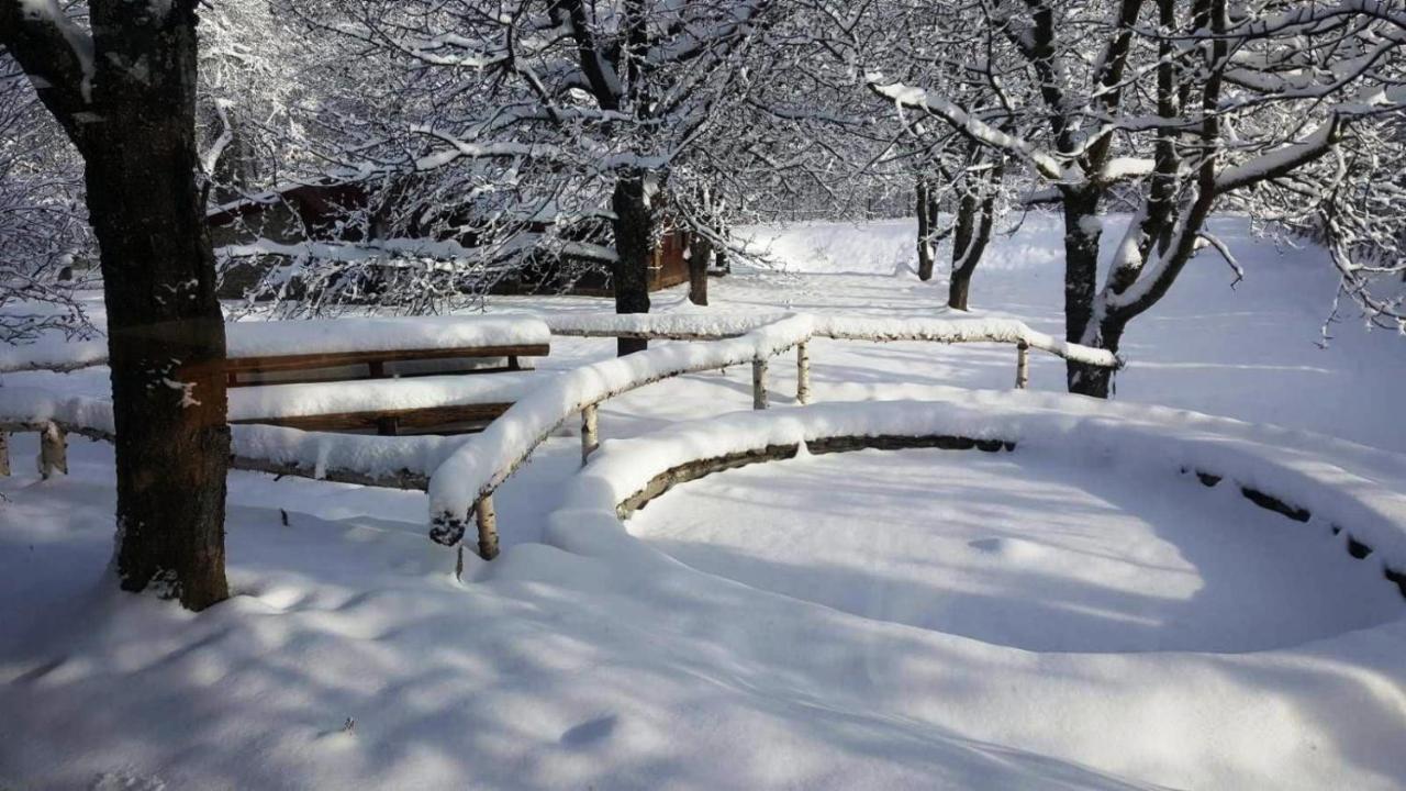 Casa Bunicului Villa Vistisoara Bagian luar foto