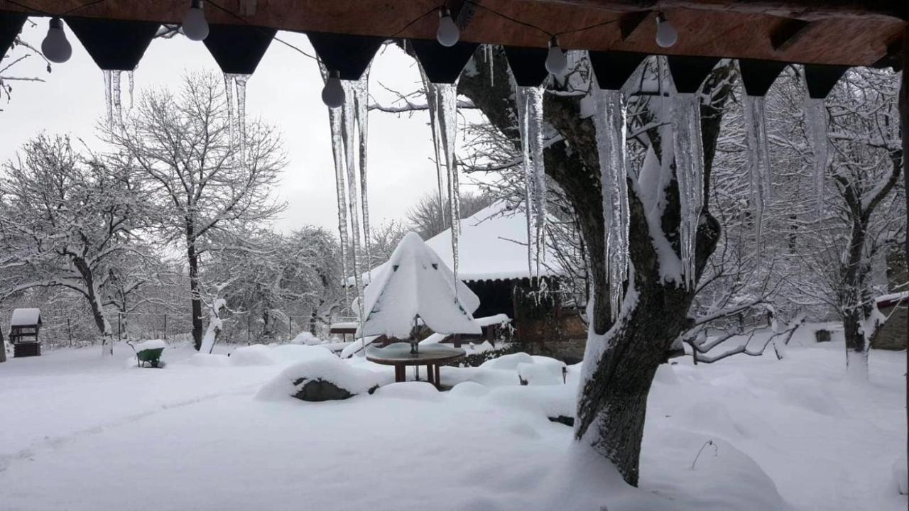 Casa Bunicului Villa Vistisoara Bagian luar foto