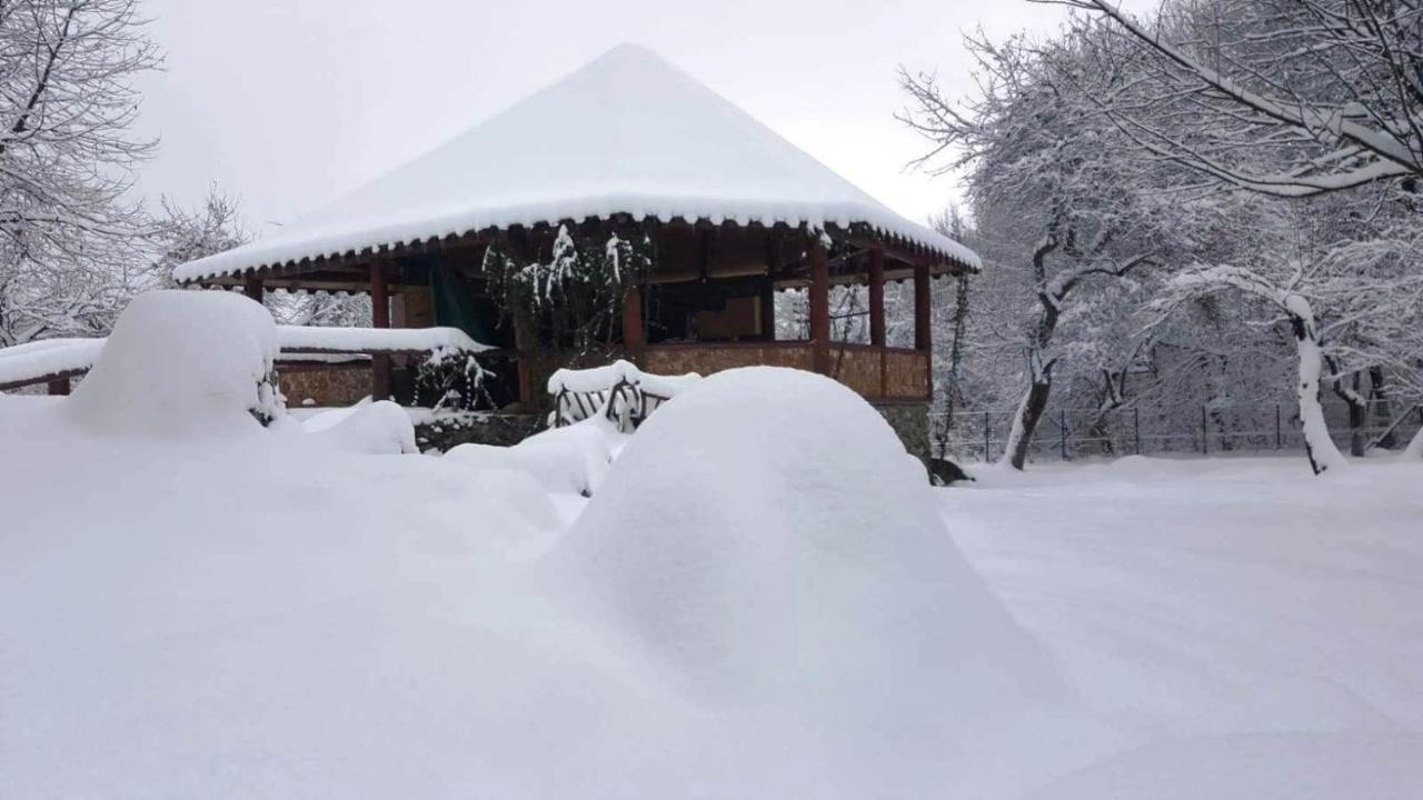 Casa Bunicului Villa Vistisoara Bagian luar foto