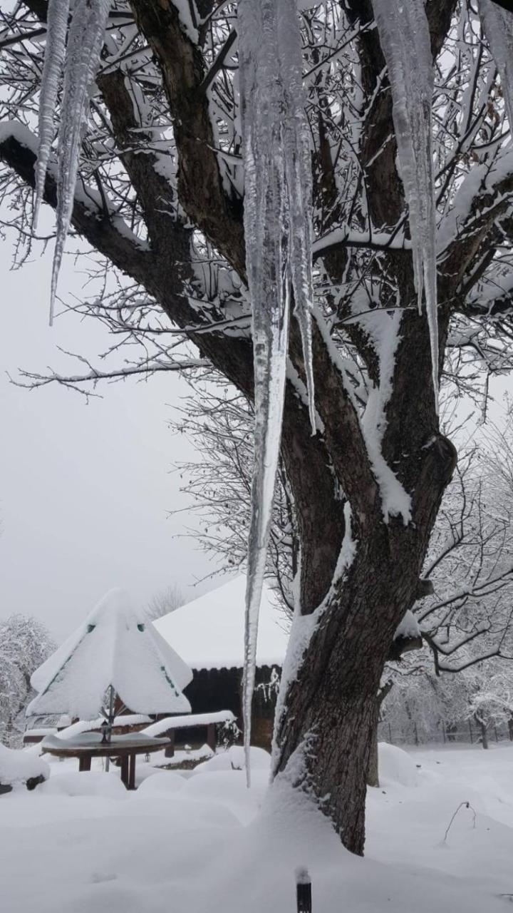 Casa Bunicului Villa Vistisoara Bagian luar foto