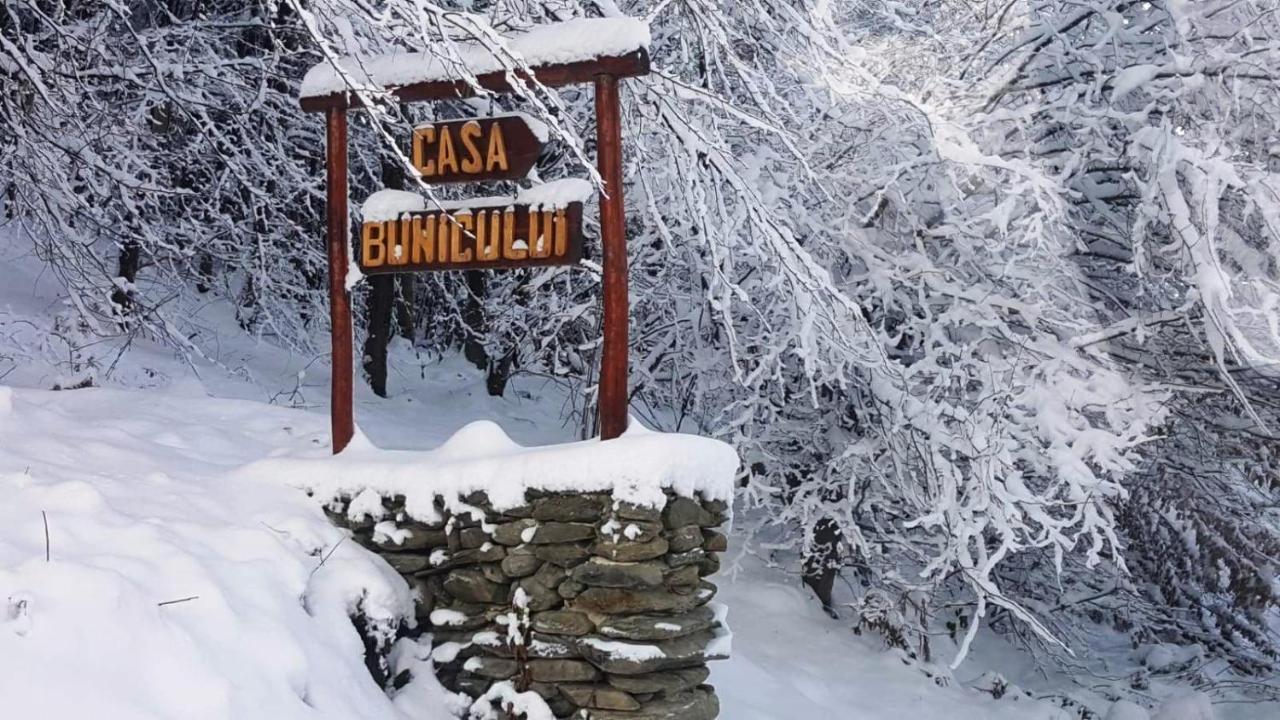 Casa Bunicului Villa Vistisoara Bagian luar foto
