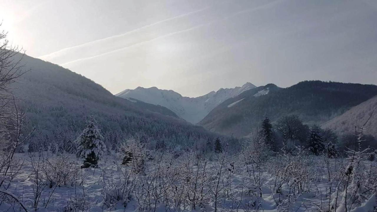 Casa Bunicului Villa Vistisoara Bagian luar foto