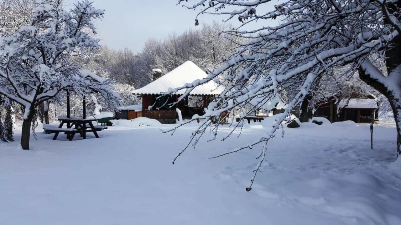 Casa Bunicului Villa Vistisoara Bagian luar foto